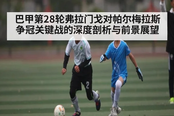 巴甲第28轮弗拉门戈对帕尔梅拉斯争冠关键战的深度剖析与前景展望